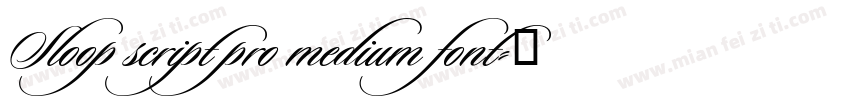 Sloop script pro medium font字体转换